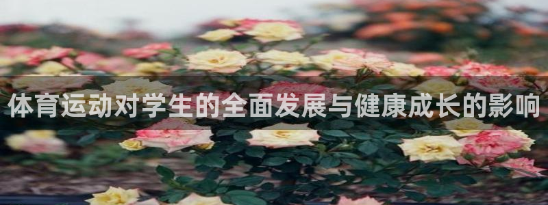 体育运动对学生的全面发展与健康成长的影响