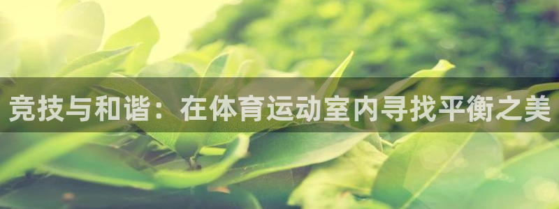 竞技与和谐：在体育运动室内寻找平衡之美