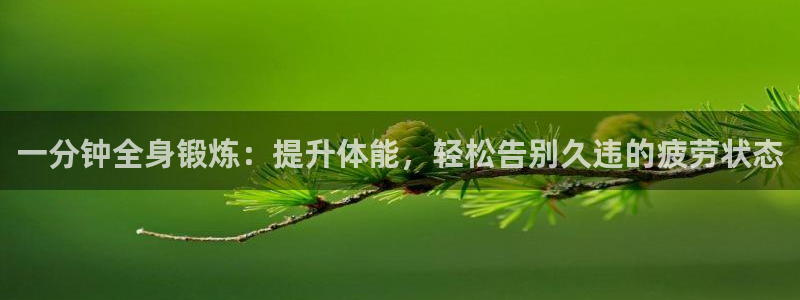 一分钟全身锻炼：提升体能，轻松告别久违的疲劳状态